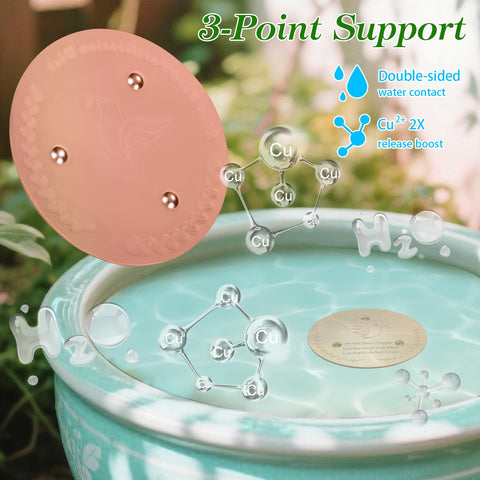 SONSIL outdoor setup shows birdwatcher enjoying simple birdbath accessory