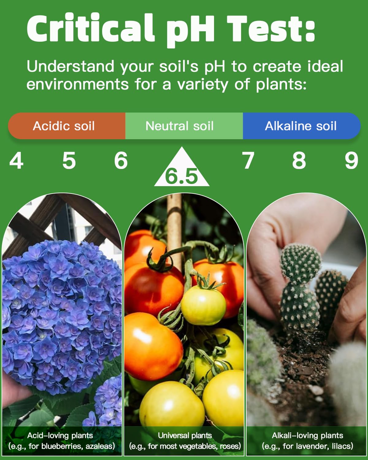 Sooen color reference chart helps quick result interpretation.