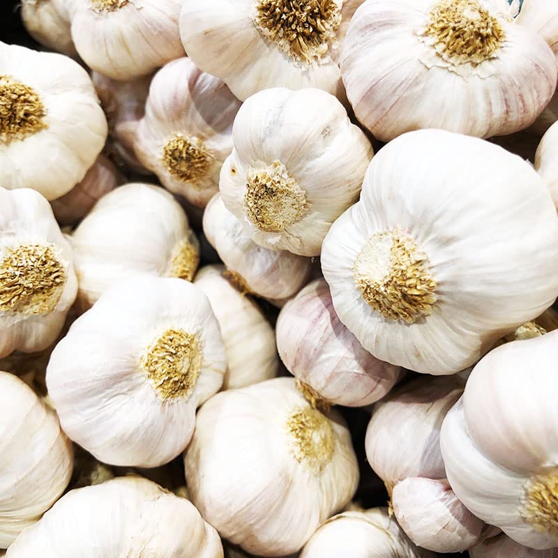 SOOLMEA 4-pack heirloom garlic bulbs ready for planting in spring soil.