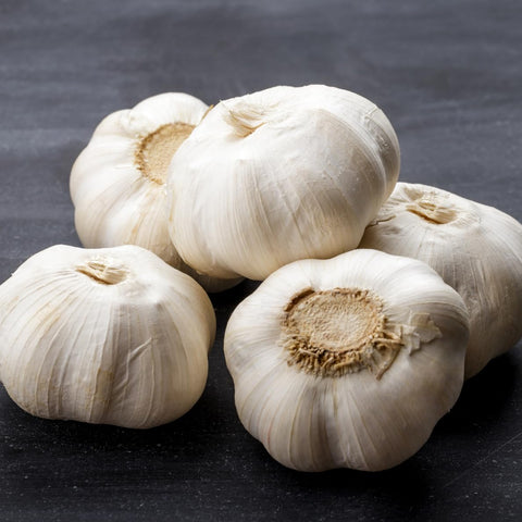 SOOLMEA hand-selected garlic bulbs emphasizing vigor across soils.