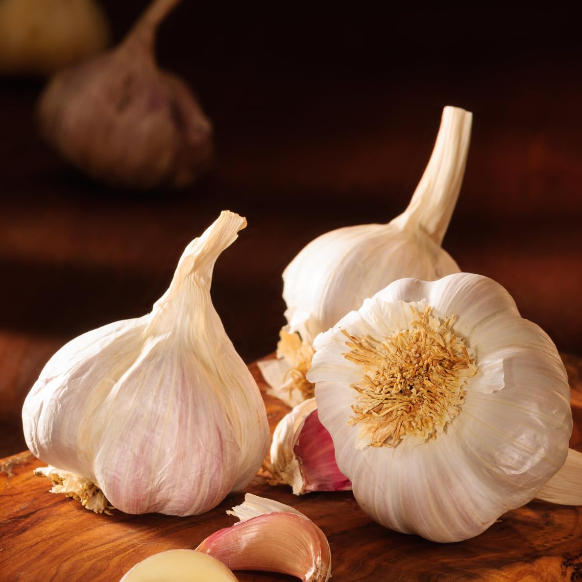 SOOLMEA hardneck garlic cloves with large size ideal for roasting.