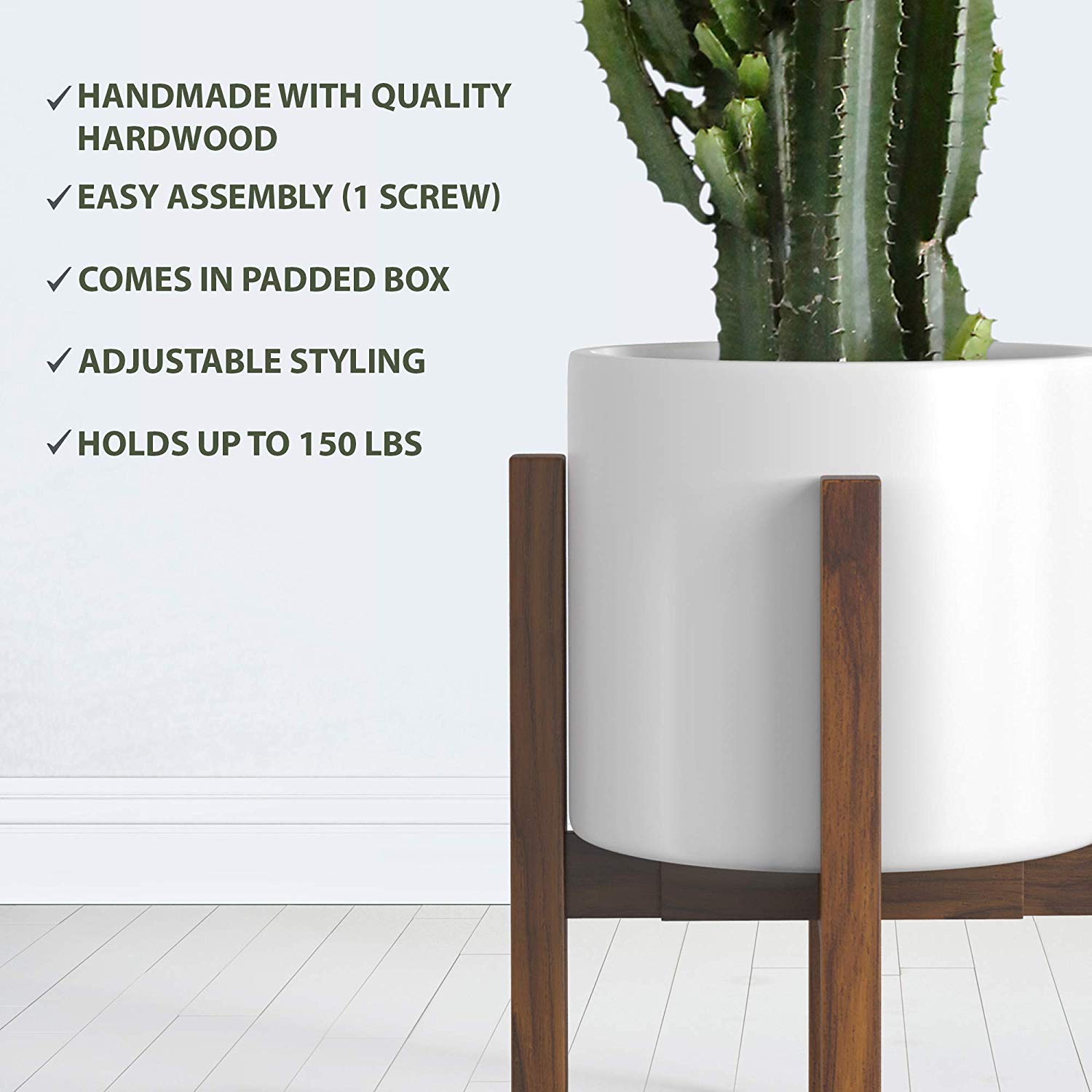 Sophia Mills indoor-outdoor plant display adds versatile decor to homes.
