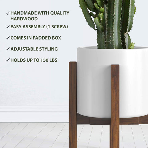 Sophia Mills indoor-outdoor plant display adds versatile decor to homes.