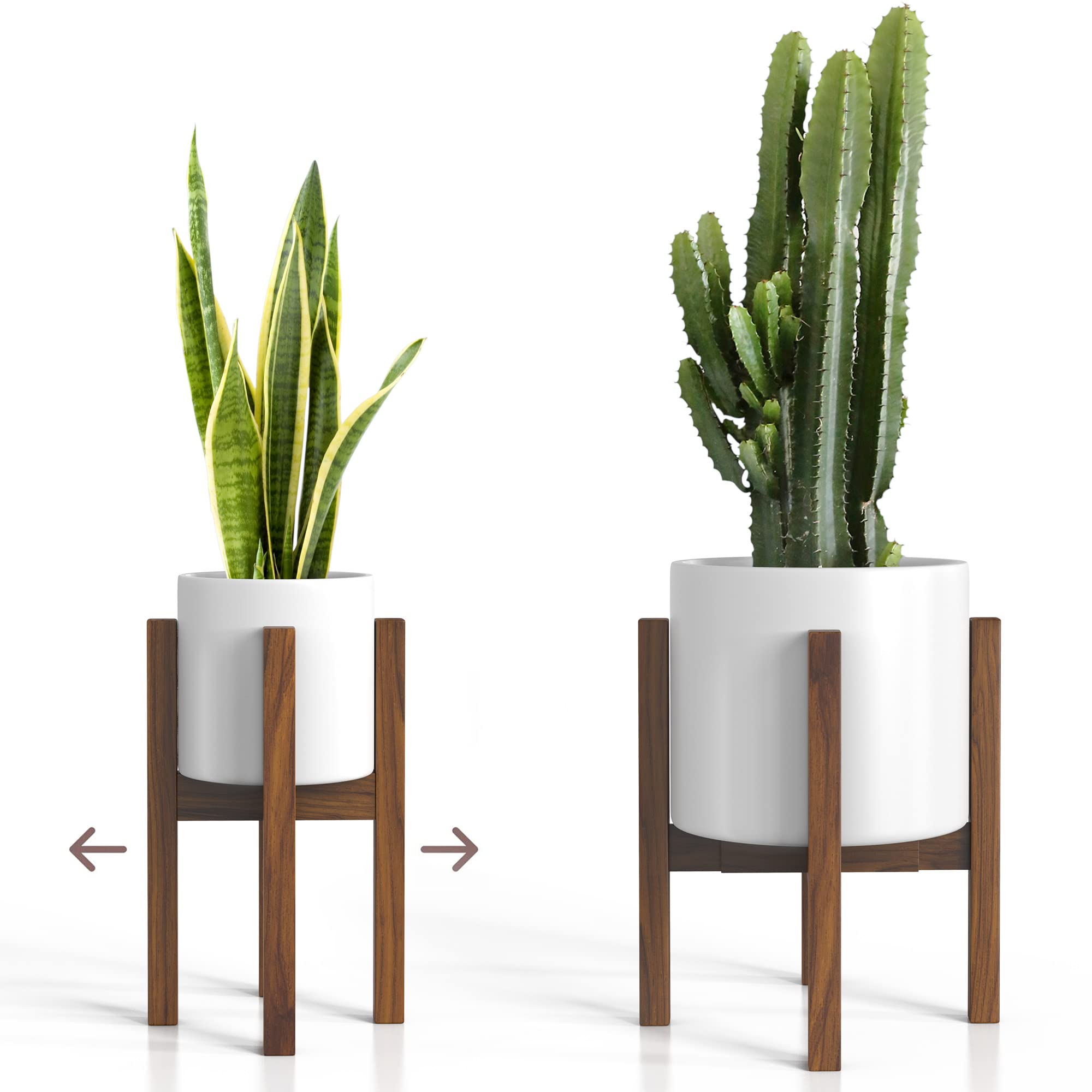 Sophia Mills mid-century plant stand in acacia wood elevates indoor greenery.