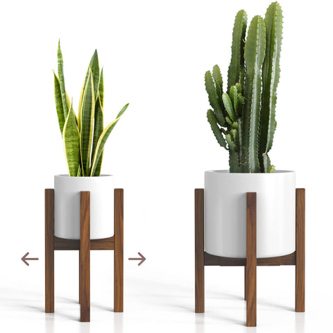 Sophia Mills mid-century plant stand in acacia wood elevates indoor greenery.