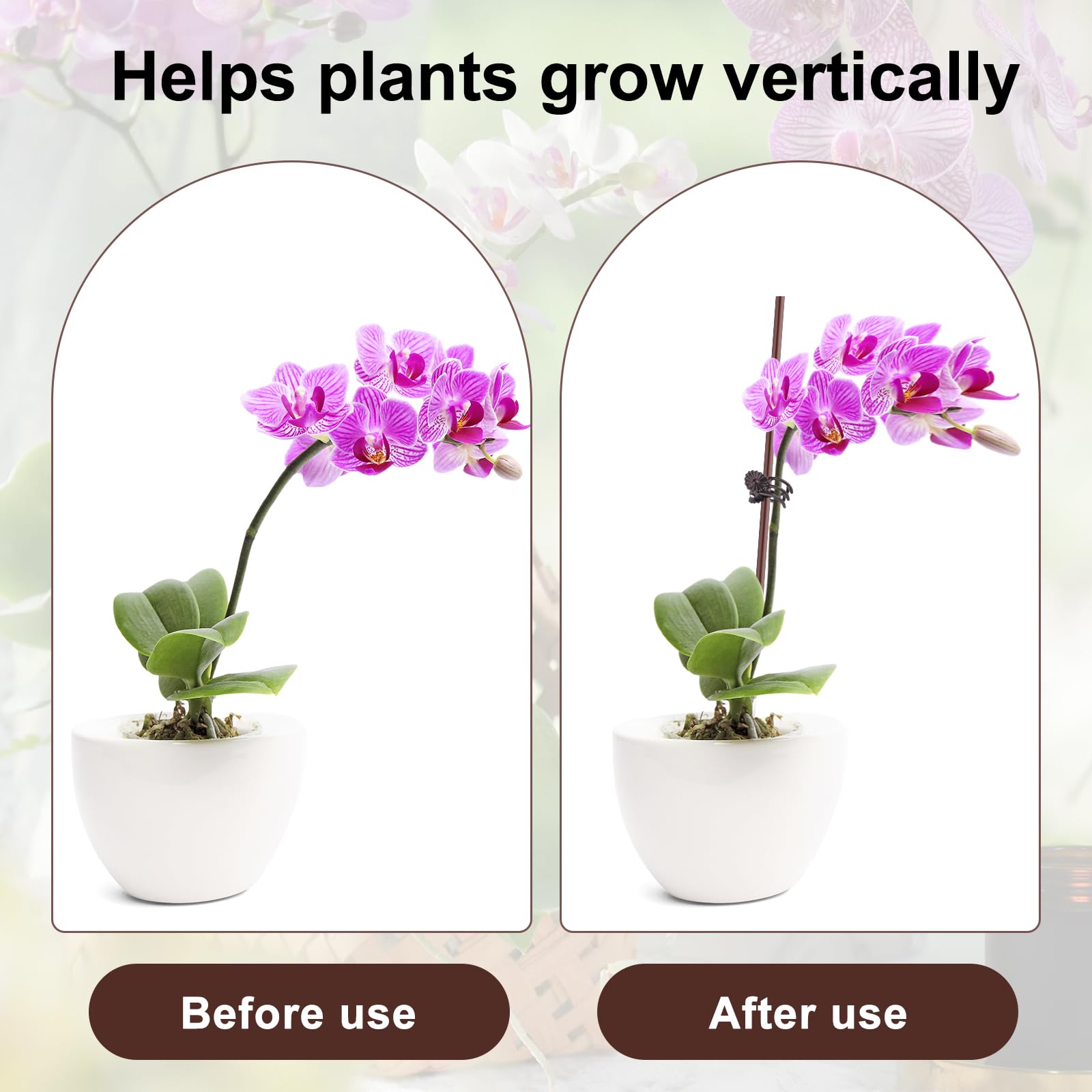 Sopoloray bendable sticks in a pot support vertical growth.