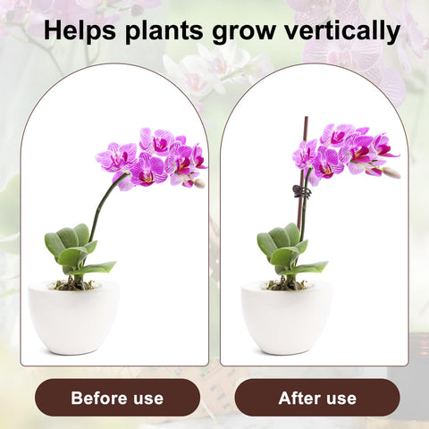 Sopoloray bendable sticks in a pot support vertical growth.