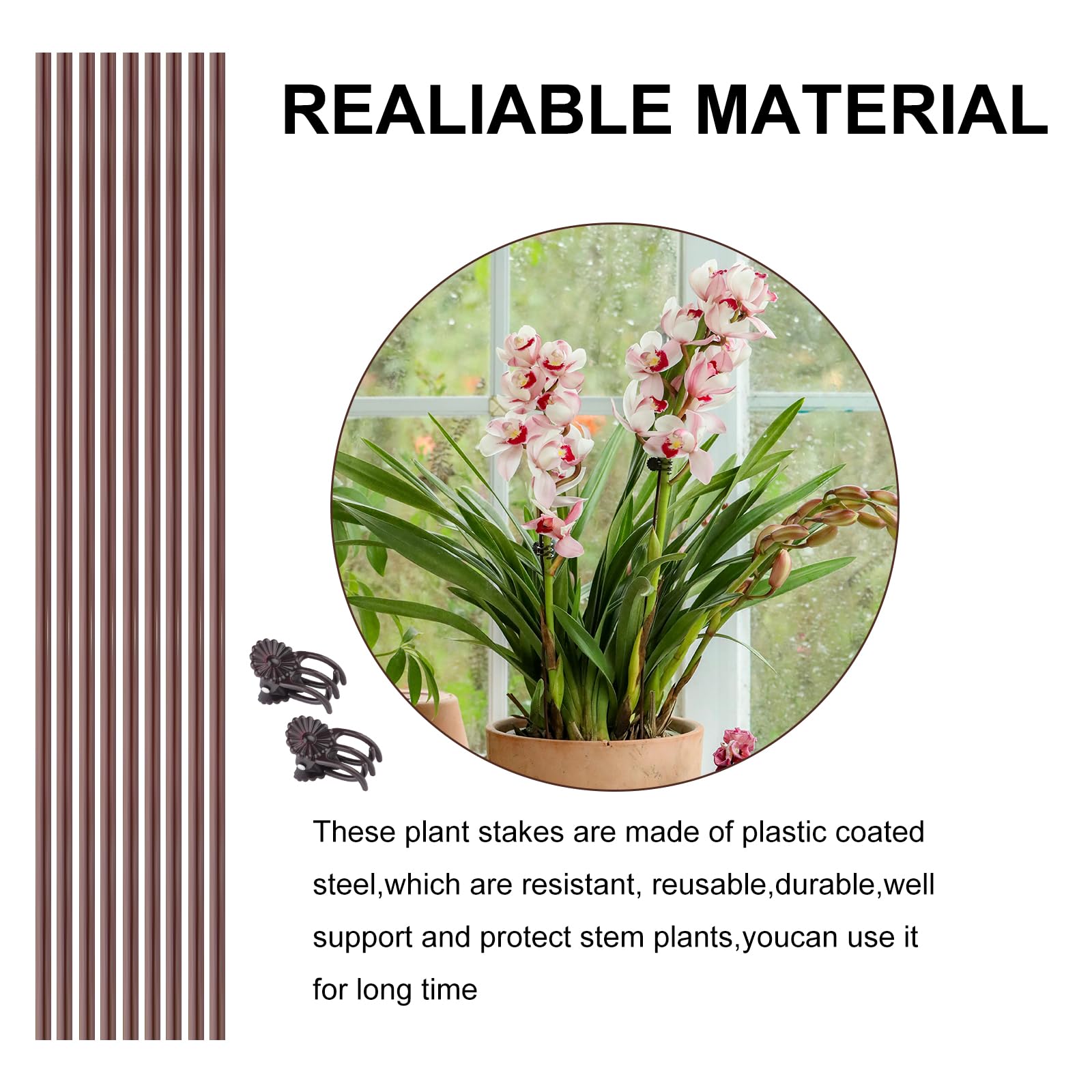 Sopoloray orchid stakes support delicate Phalaenopsis blooms.