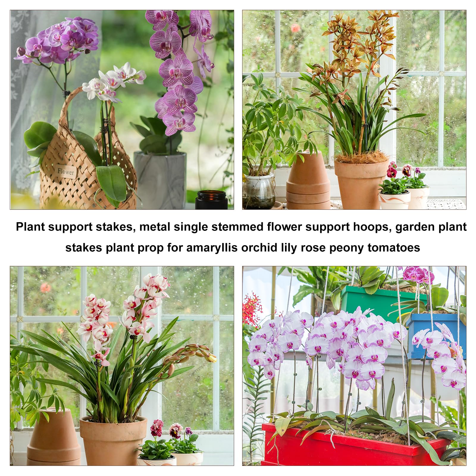 Sopoloray rose stakes help keep blooms upright and tidy.