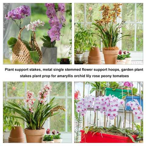 Sopoloray rose stakes help keep blooms upright and tidy.