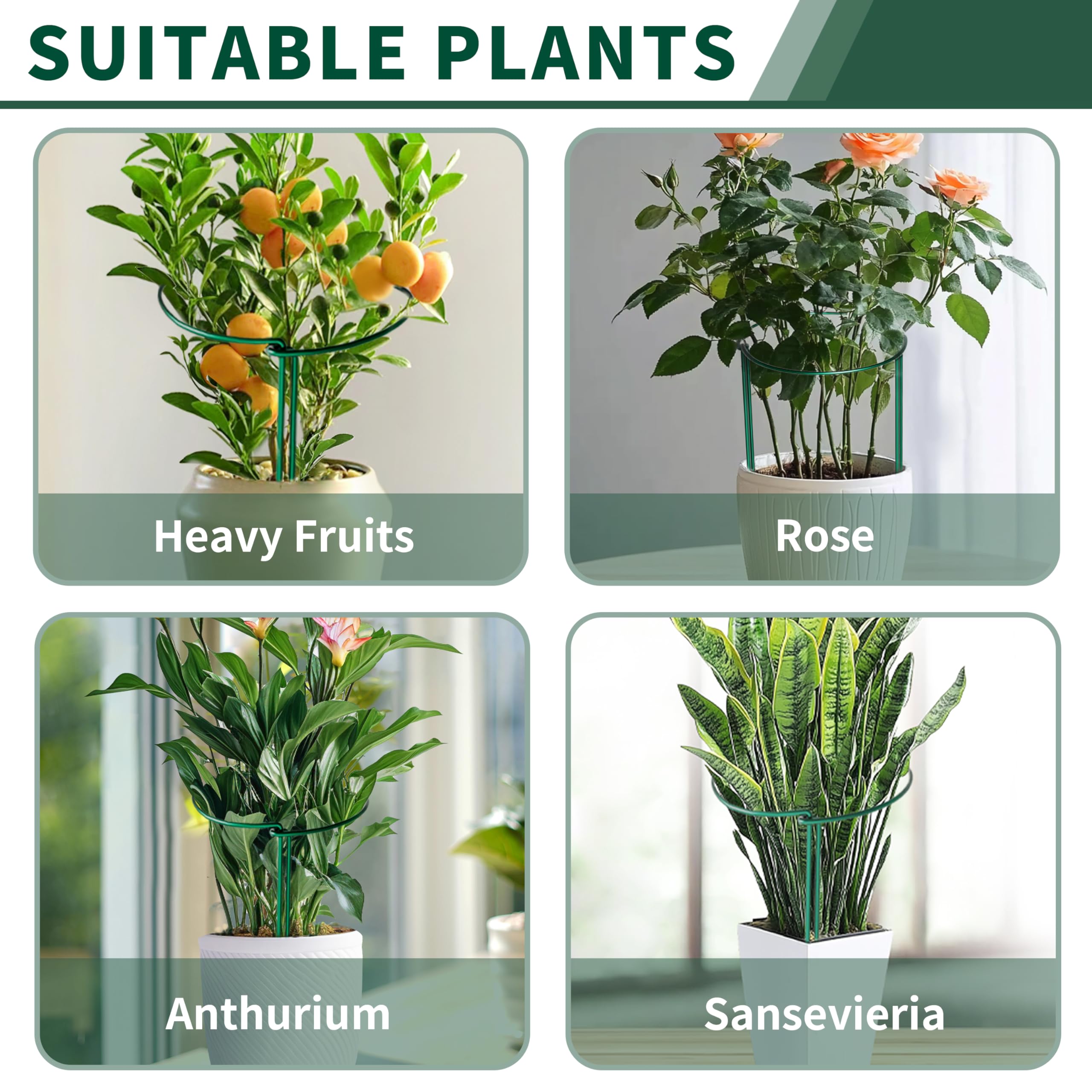 SORANGEUN 10x16 inch plant cage ready to support tall plants.
