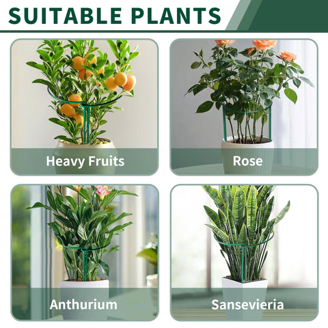SORANGEUN 10x16 inch plant cage ready to support tall plants.