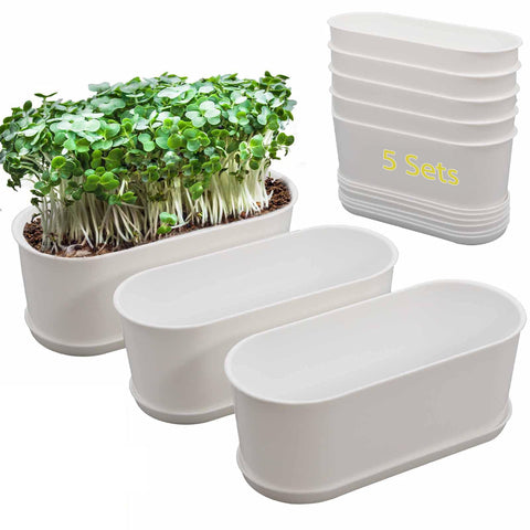 SORANGEUN 5-pack white herb planter with drip trays ideal for neat watering on windowsills.