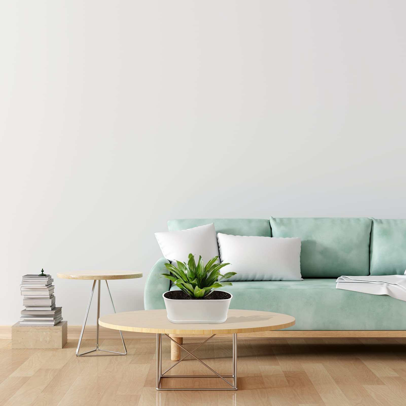 SORANGEUN cohesive 5-pack creates a unified display across surfaces.
