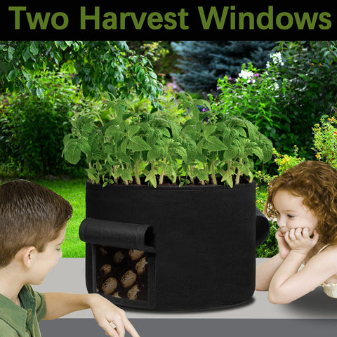 SORANGEUN 20gal plant bag promoting healthy root growth with ample space.