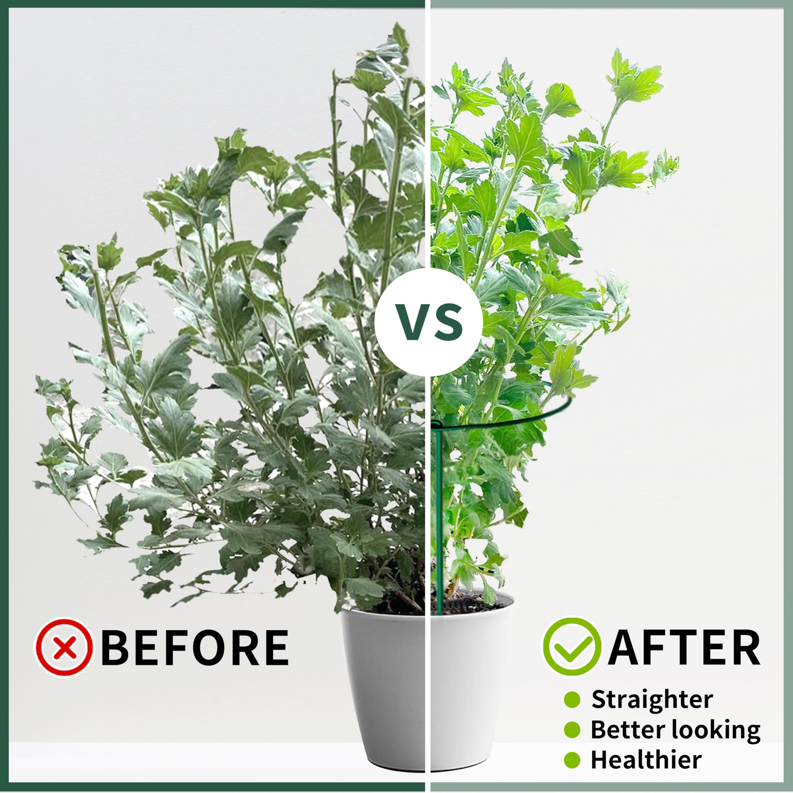 SORANGEUN plant support promotes vertical growth for tomatoes and roses.