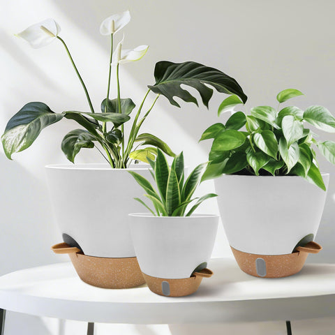SORANGEUN reinforced polypropylene planter for modern interiors.