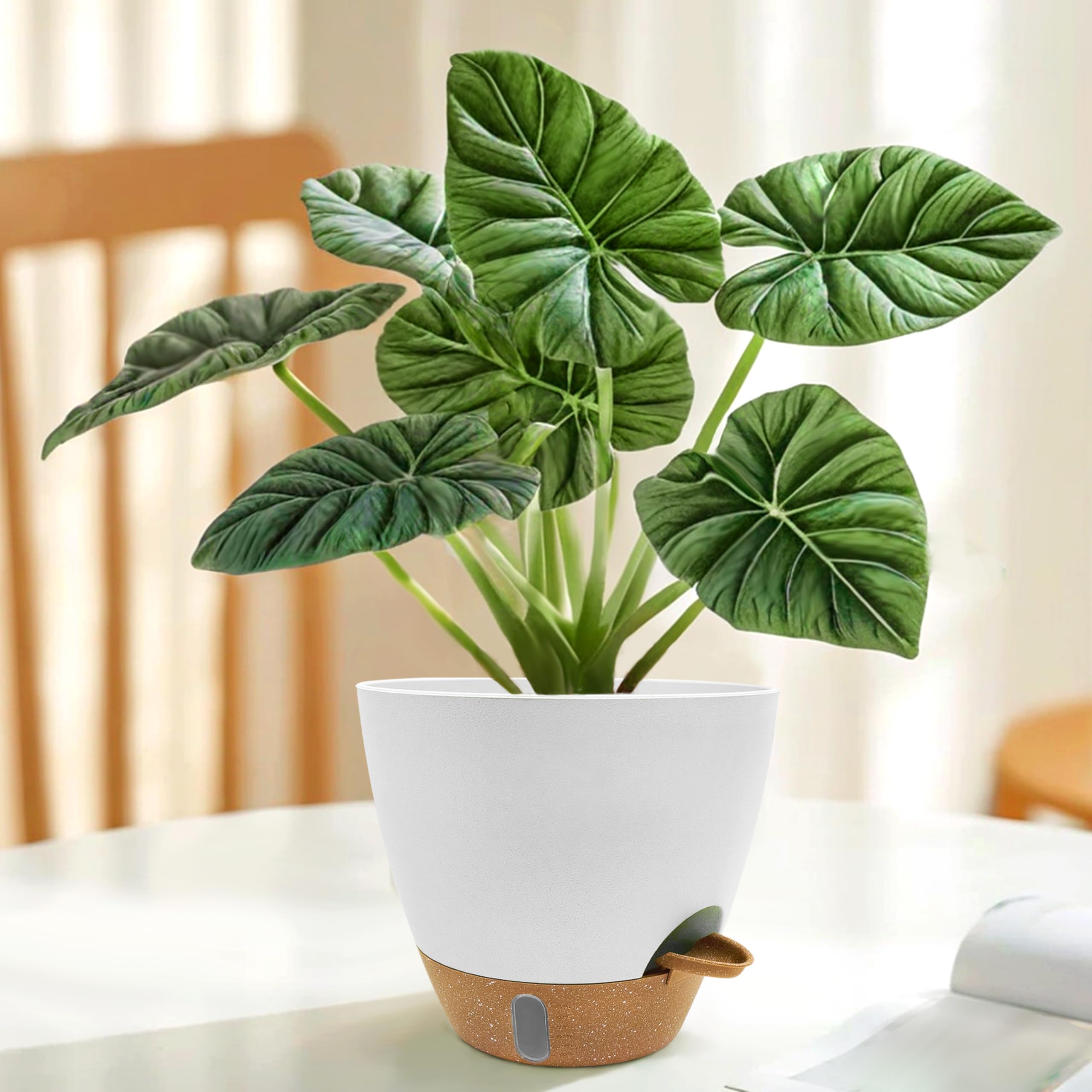 SORANGEUN self-watering pot with 14-day reservoir for travel.