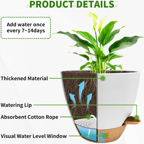 SORANGEUN 9-inch herb pot with moisture view for herbs.