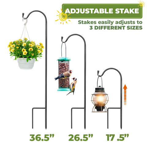 Sleek black finish adds modern style to gardens and events.
