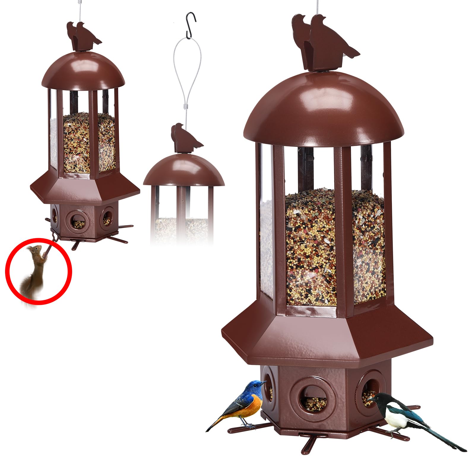 Sorflife professional squirrel-proof feeder with 5.06 lb capacity for longer birdwatching sessions
