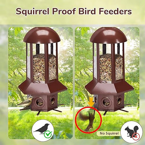 Sorflife feeder with six openings supports multiple birds at once