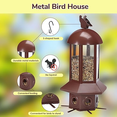 Sorflife squirrel-proof feeder in rust-resistant metal designed for outdoor use