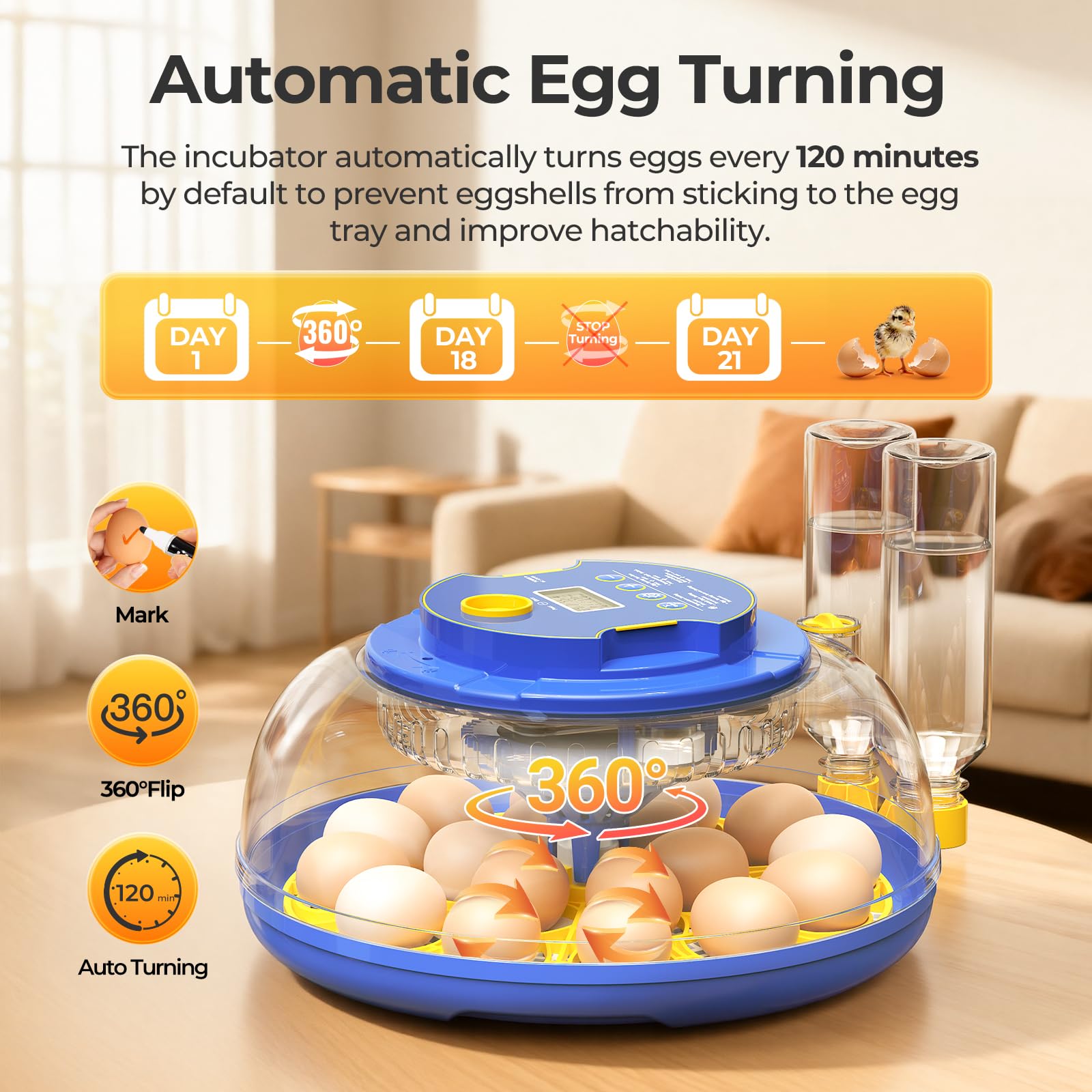 SORSWEET 360-degree transparent cover allows observation without opening.