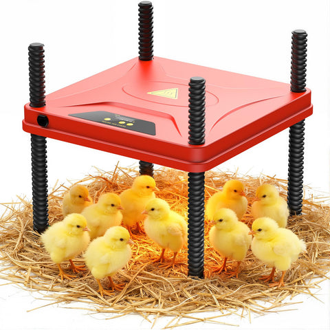 SORSWEET Chick Brooder Plate 10x10 heats 10-12 chicks evenly for healthy brooding.