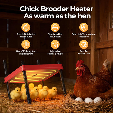 SORSWEET chick brooder plate adjustable stand enables precise height and angle placement.