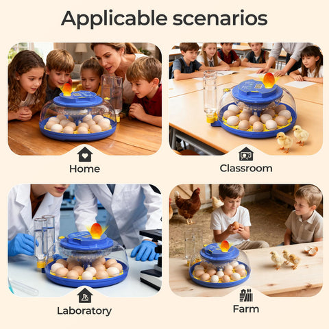 SORSWEET easy-clean interior design supports simple post‑incubation cleanup.