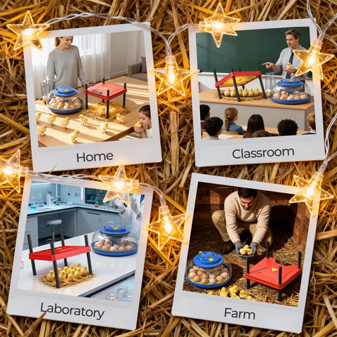 SORSWEET in-use during winter keeps chicks comfortable for year-round brooding.