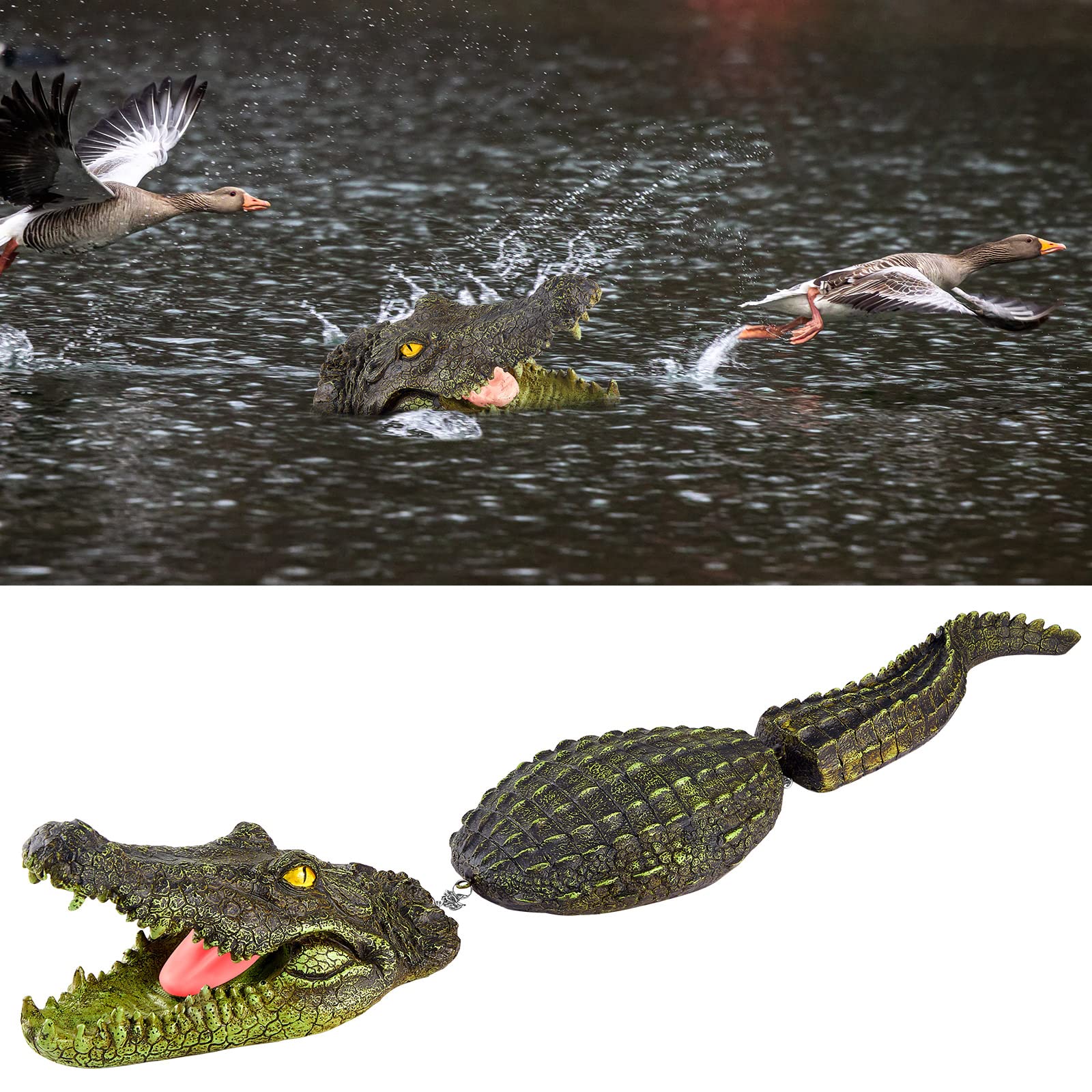 Sotiff floating alligator decoy in pool for wildlife deterrence and visual realism.