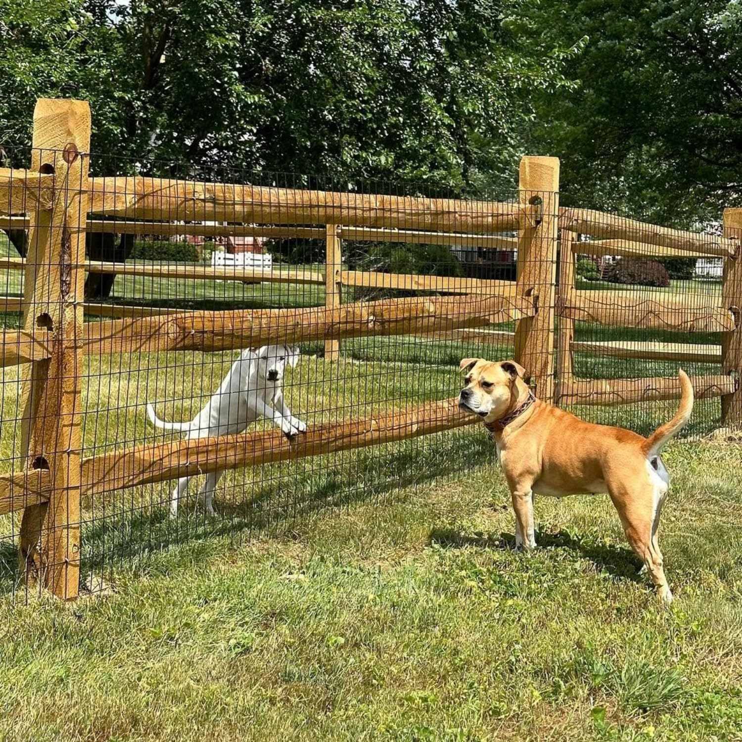 SOTTORICH weather-ready fence withstands rain, sun, and snow for years.
