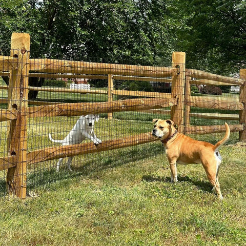 SOTTORICH weather-ready fence withstands rain, sun, and snow for years.