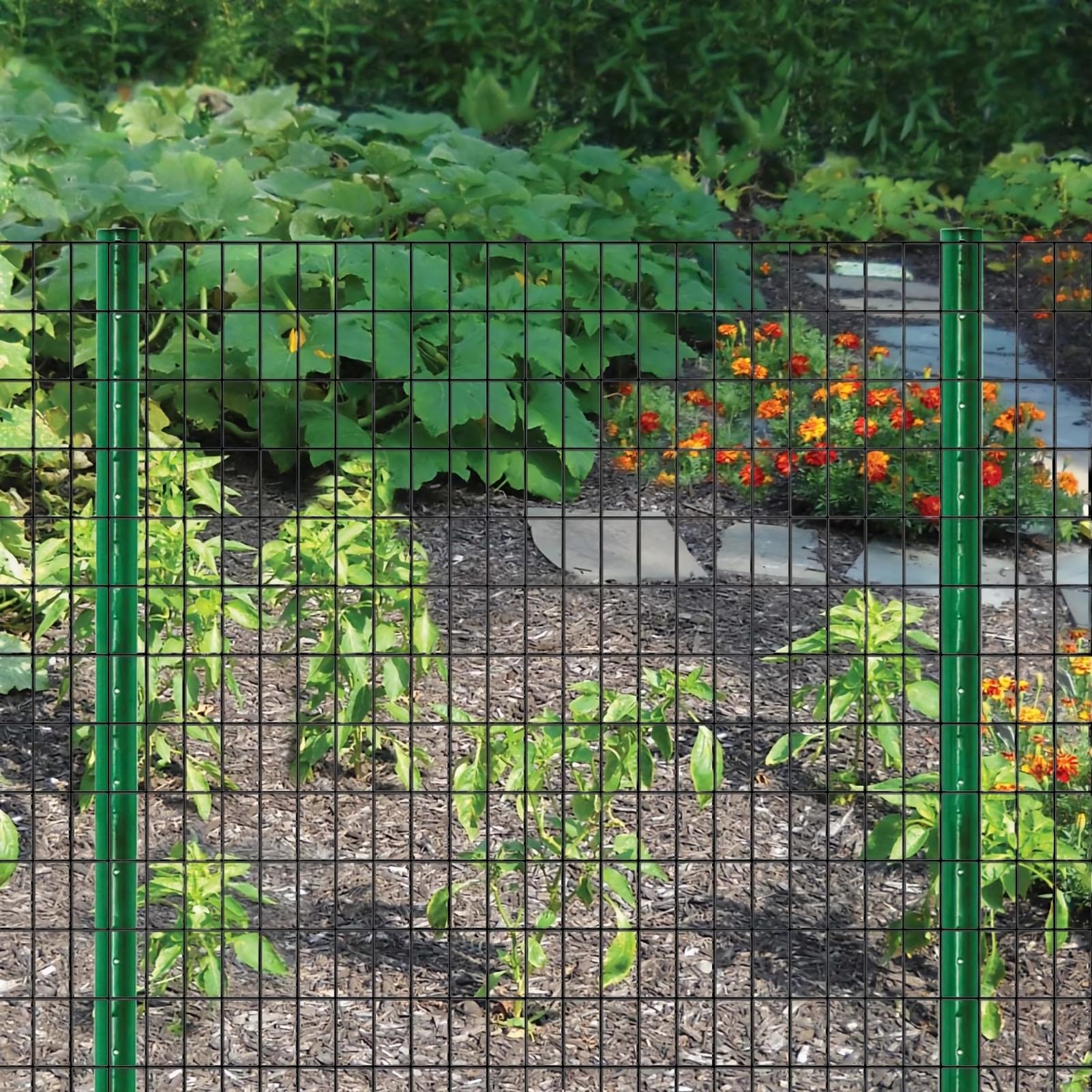 SOTTORICH durable mesh helps keep vegetables safe from pests and animals.