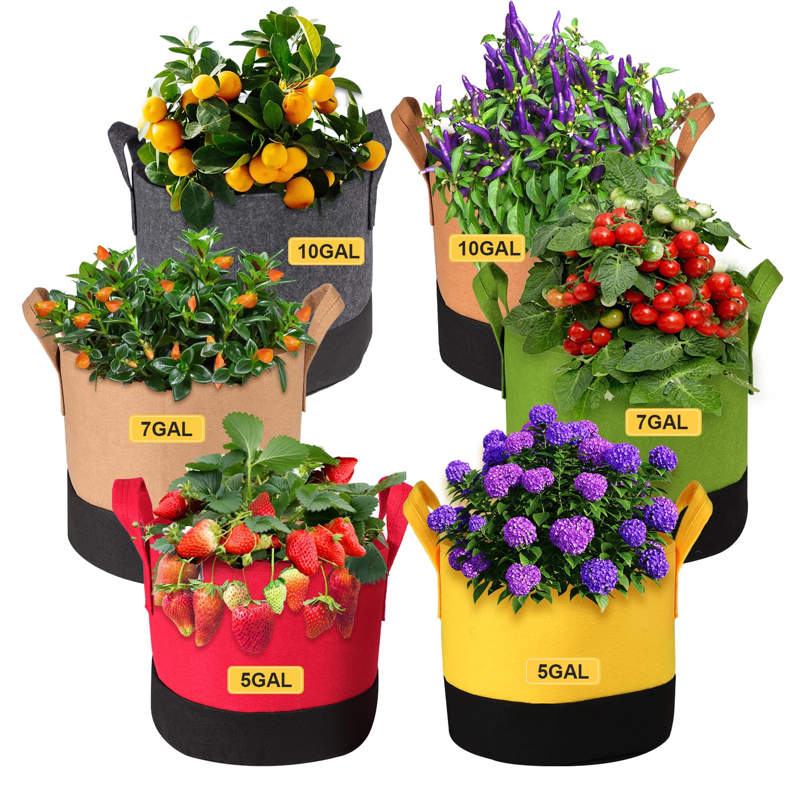 SouilGoal 5gal colorful grow bag shows vibrant design suitable for peppers and herbs.