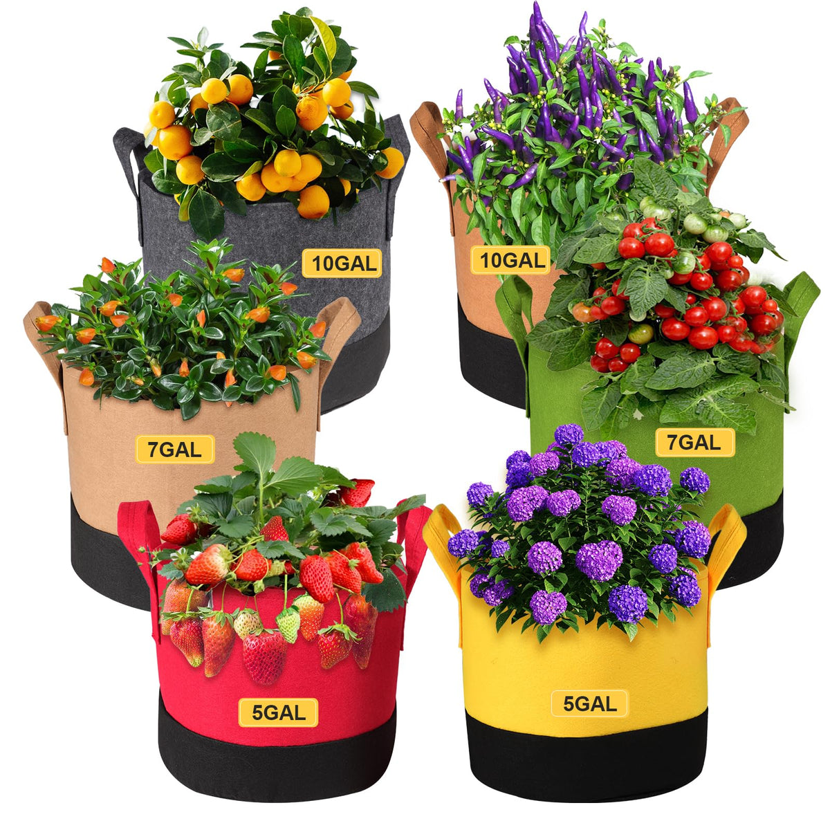 SouilGoal 5gal colorful grow bag shows vibrant design suitable for peppers and herbs.