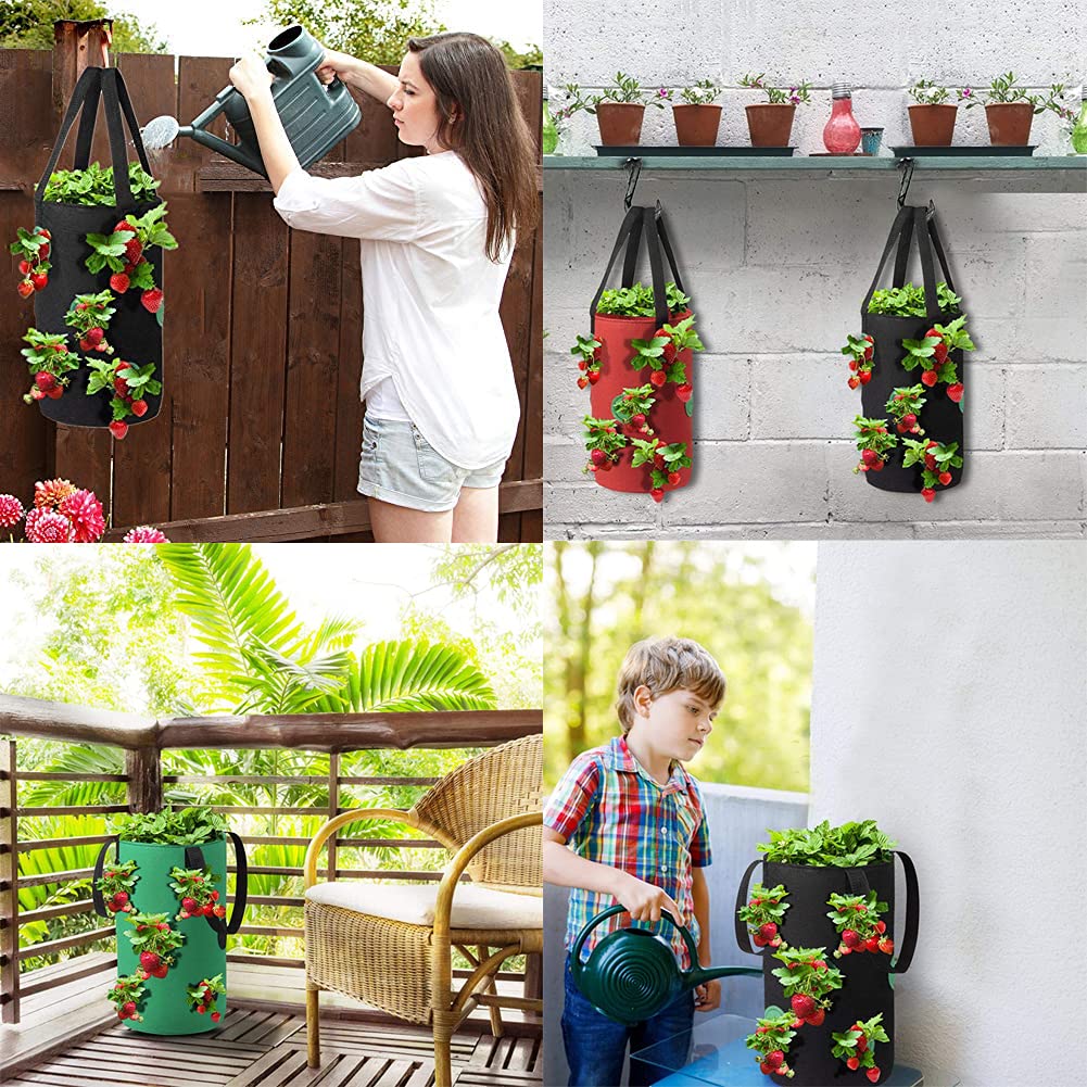 SouilGoal hanging planter on fence demonstrates easy installation and space efficiency.