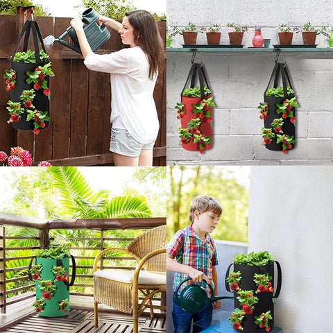 SouilGoal hanging planter on fence demonstrates easy installation and space efficiency.