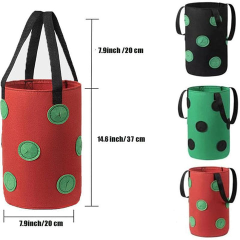SouilGoal strawberry planter in durable felt supports fresh harvests