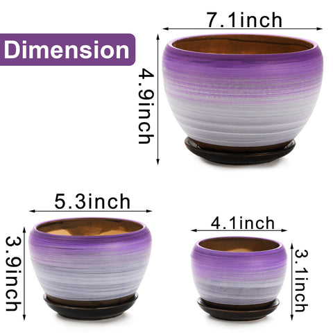 SOUJOY ceramic plant pot 5inch purple showcases elegant home decor with drainage