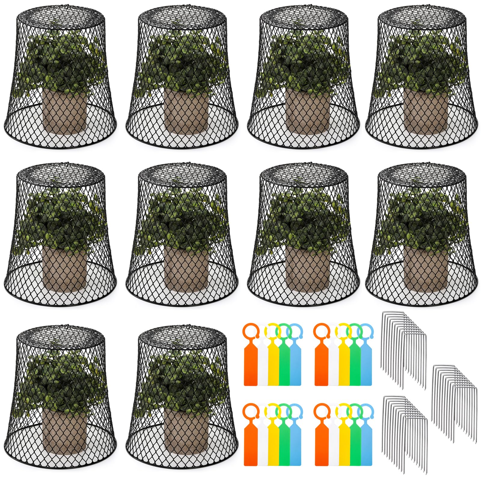 SOUJOY chicken-wire cloche 8x8 protects seedlings from pests and harsh weather.