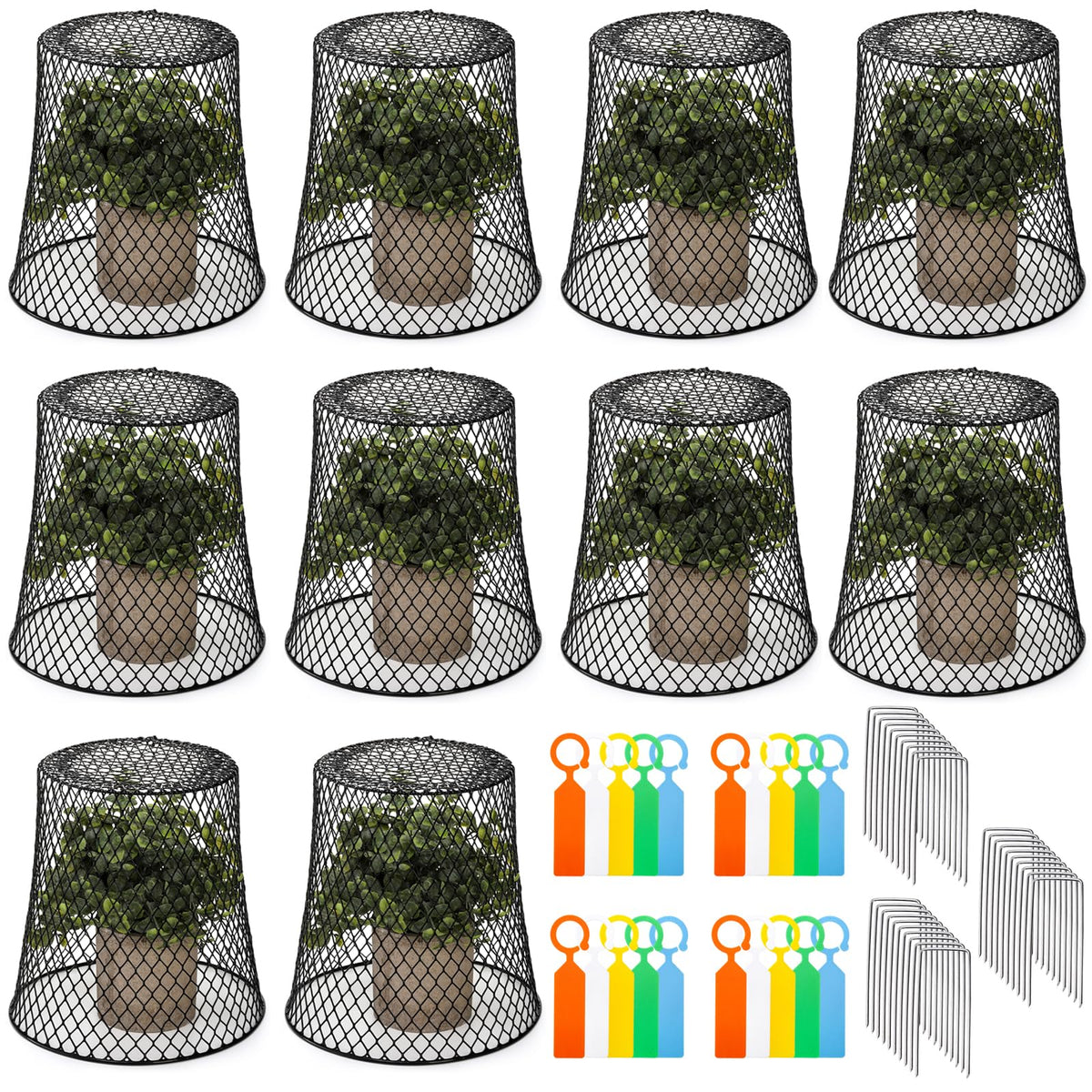 SOUJOY chicken-wire cloche 8x8 protects seedlings from pests and harsh weather.