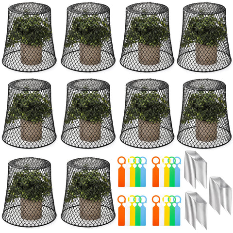 SOUJOY chicken-wire cloche 8x8 protects seedlings from pests and harsh weather.
