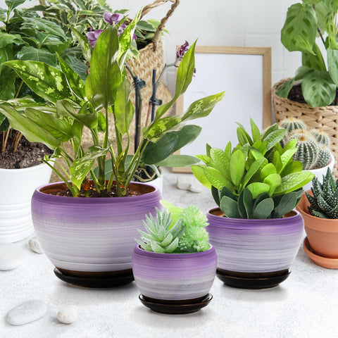 SOUJOY indoor outdoor planter suited for herbs, succulents, or decorative greenery