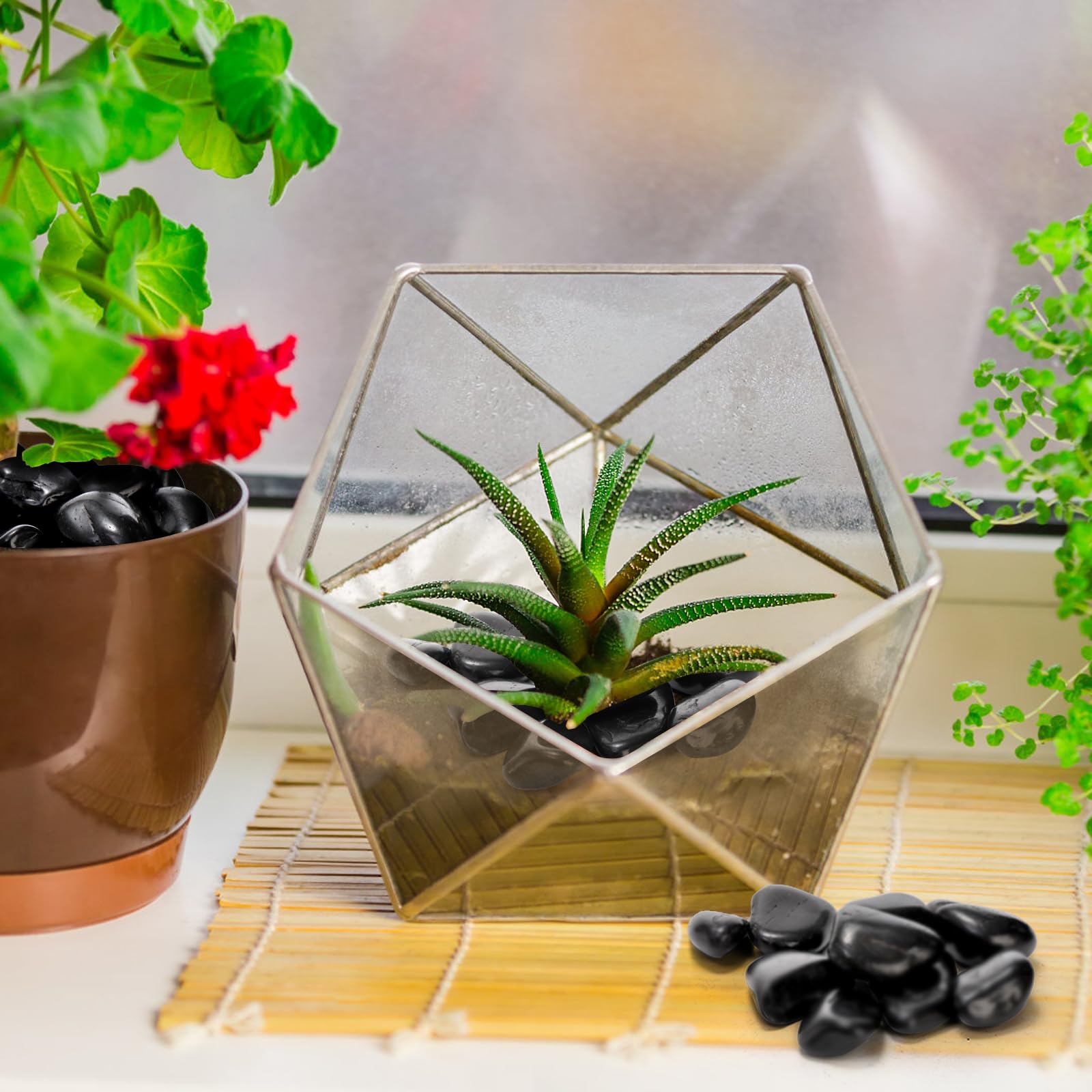 SOUJOY landscaping gravel improves drainage and air circulation for thriving plants.