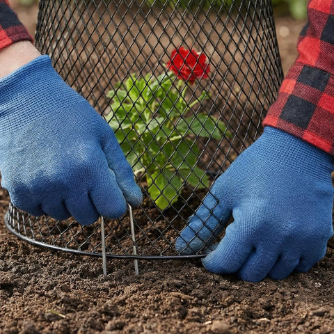 SOUJOY pack of 10 cloches simplifies garden protection planning.