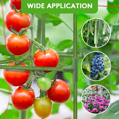 SoundValue complete growing kit helps maximize sunlight exposure.