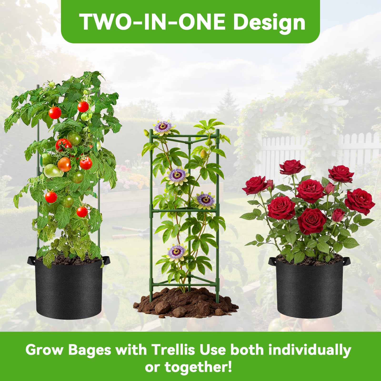 SoundValue sturdy clips and plant ties train stems securely.